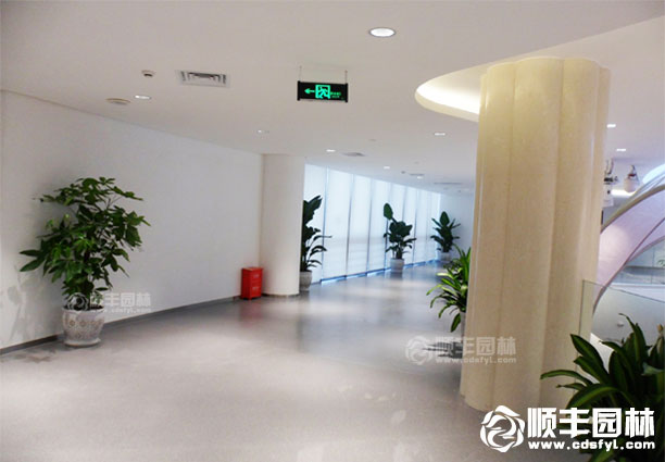 辦公租賃案例